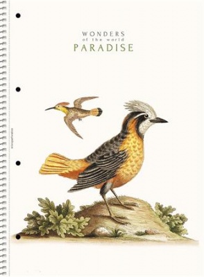 Spirálfüzet, A4, vonalas, 80 lap, SHOLYARYK "College Block Wonders", vegyes