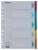 Regiszter, karton, A4, 5 részes, írható előlappal, ESSELTE "Standard", színes